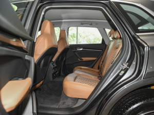 202140 TFSI rЄӸ ſg