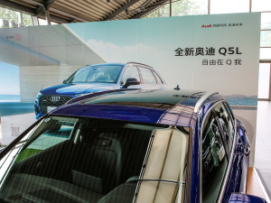 202140 TFSI A (x)(ji)^