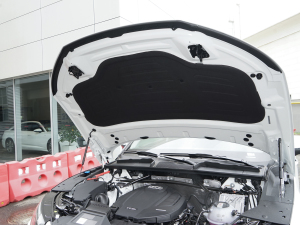 202145 TFSI A lәCœ