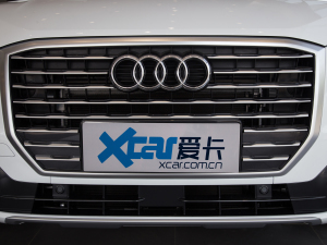 2021款35TFSI 豪华致雅型 中网