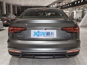 2021款40 TFSI 进享人生版 正后	