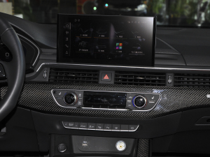 202245 TFSI quattro x(dng) п؅^(q)