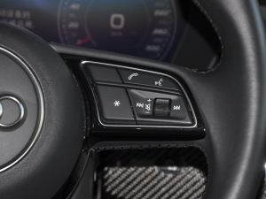 202245 TFSI quattro x(dng) п؅^(q)