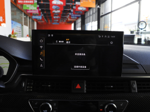 202245 TFSI quattro xӸ п؅^