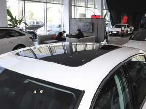 202235 TFSI rЄӸ ܇