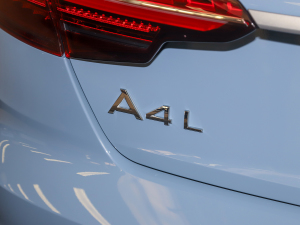 202240 TFSI quattro RS׼ȼ ^