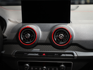 202235 TFSI RS׼ȼ {(dio)L(fng)