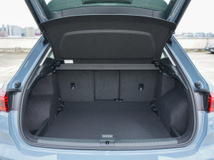 202240 TFSI RS׼ȼ g