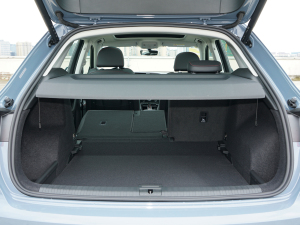 202240 TFSI RS׼ȼ g