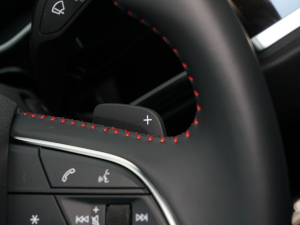 202240 TFSI RS׼ȼ п؅^