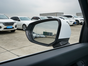 202235 TFSI r (x)(ji)^