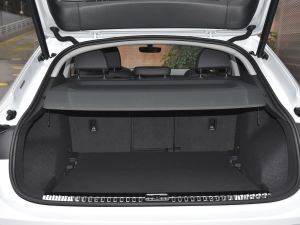 202245 TFSI quattro r g