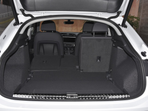 202245 TFSI quattro r g