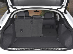 202245 TFSI quattro r g