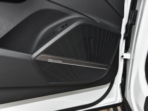 202245TFSI xӸ п؅^