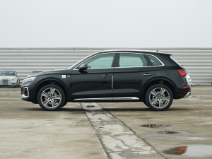 202245TFSI A(dng) (c)