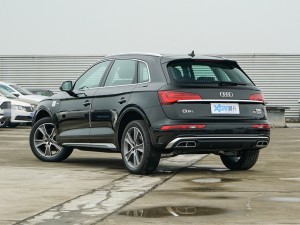 202245TFSI A(dng) 45