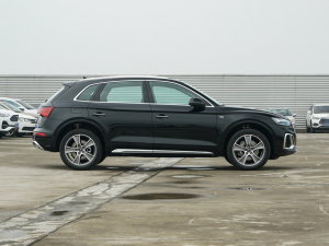 202245TFSI A(dng) (c)ң