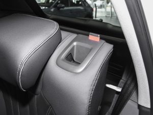 2022Ŀ 45TFSI A(dng) g