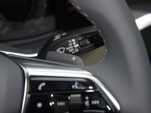 202255 TFSI quattro  п؅^(q)