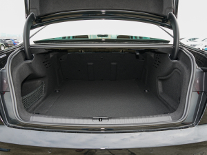 202245 TFSI quattro x g