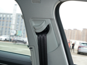 202245 TFSI quattro x g