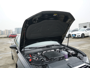 202240 TFSI AӸ lәCœ