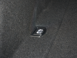 202245 TFSI quattro xӸ g