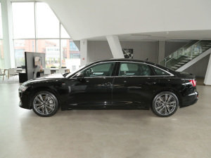 202255 TFSI quattro (dng) (c)