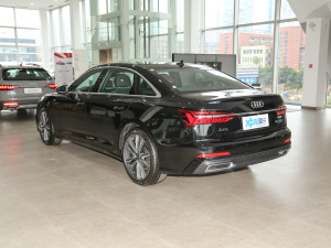 202255 TFSI quattro (dng) 45