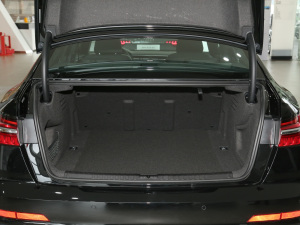 202255 TFSI quattro (dng) g