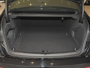 202255 TFSI quattro ŞӸ g