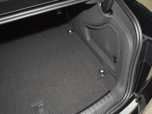 202255 TFSI quattro ŞӸ g