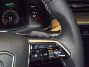 202255 TFSI quattro ŞӸ п؅^