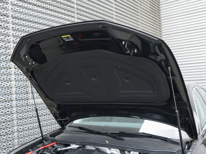 202245 TFSI x l(f)әCœ