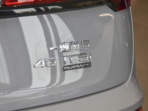 202245 TFSI x (x)(ji)^