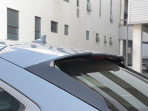 202240 TFSI RS׼ȼ ^