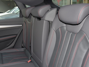 202240 TFSI RS׼ȼ g