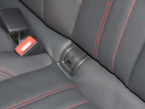 202240 TFSI RS׼ȼ g