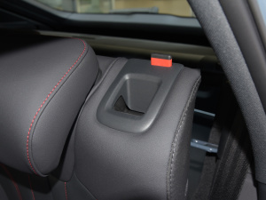 202240 TFSI RS׼ȼ g