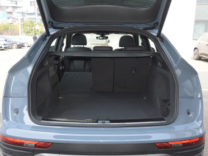 202240 TFSI RS׼ȼ g