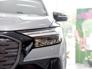 202240 e-tron  (ji)^