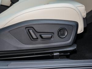 202250 e-tron quattro  g