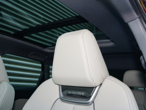 202250 e-tron quattro  g