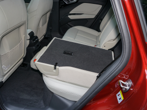 202250 e-tron quattro  g