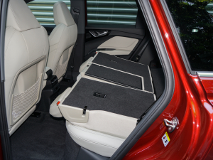 202250 e-tron quattro  g