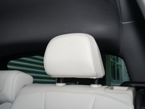 202250 e-tron quattro  g