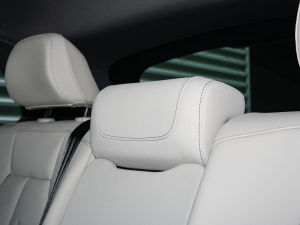 202250 e-tron quattro  g