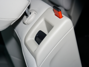 202250 e-tron quattro  g