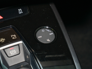 202250 e-tron quattro  {(dio)(ji)